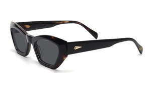 Katsuo Sunglasses C2